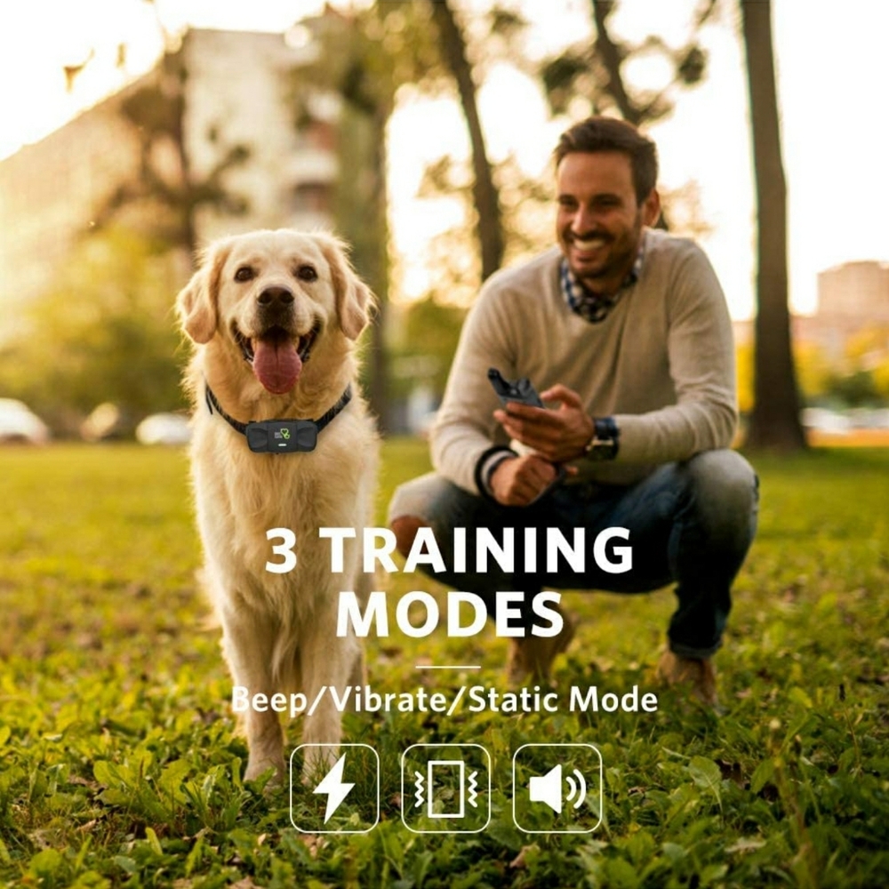 Well-D ADV MODEL TC01 DOG TRAINING SYSTEM - Picture 4 of 15